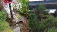 Img default alt hy