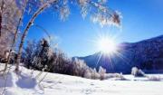 Img default alt hy